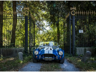 289 Cobra CSX7079 | Shelby Legendary Cars