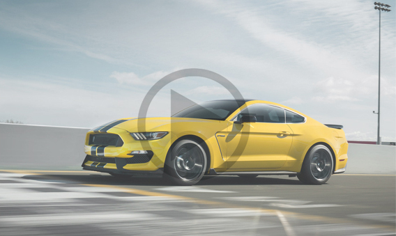 Shelby Legendary Cars.